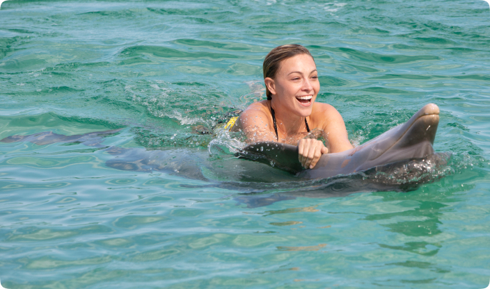 Dolphin Action Program