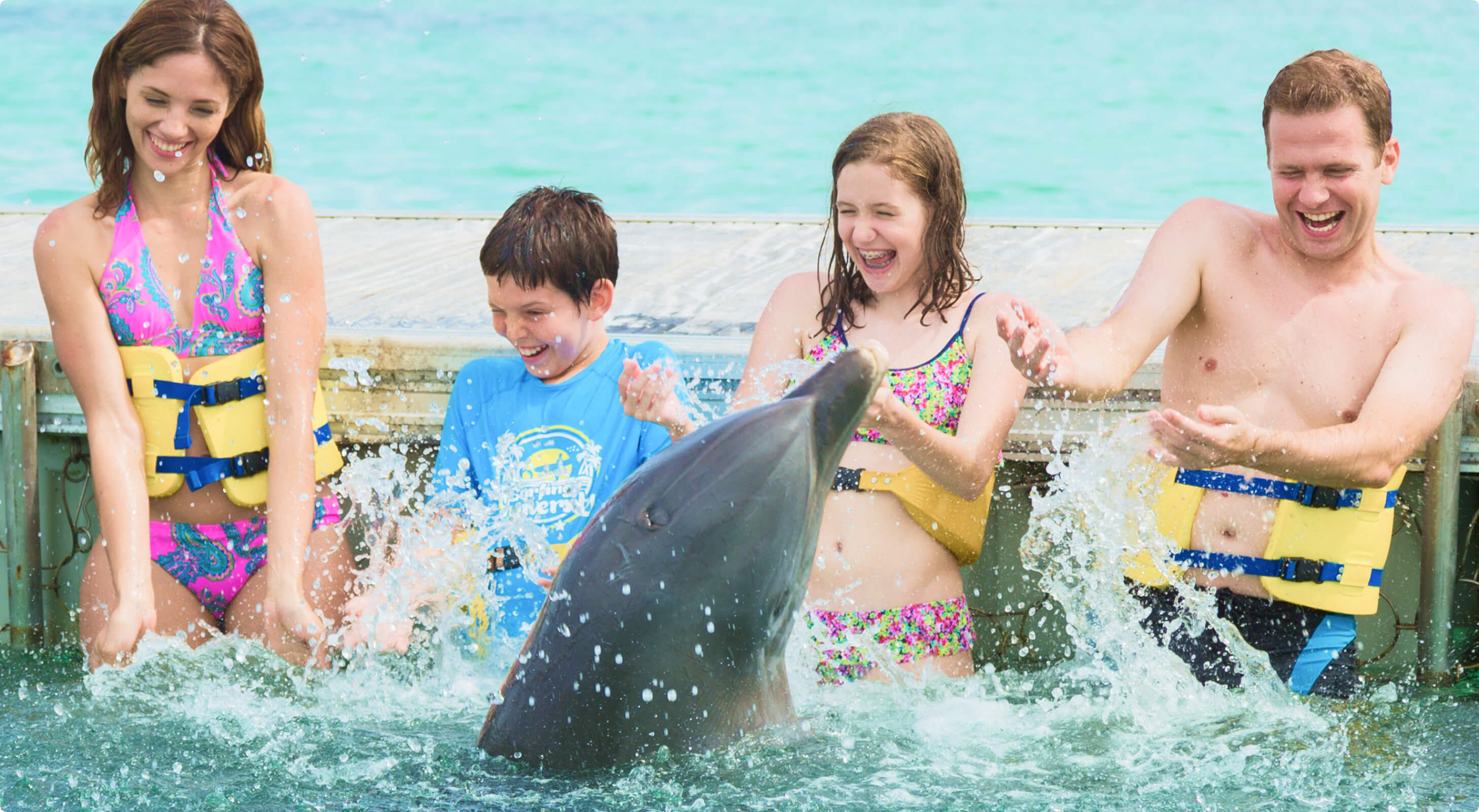 Dolphin Family Experience